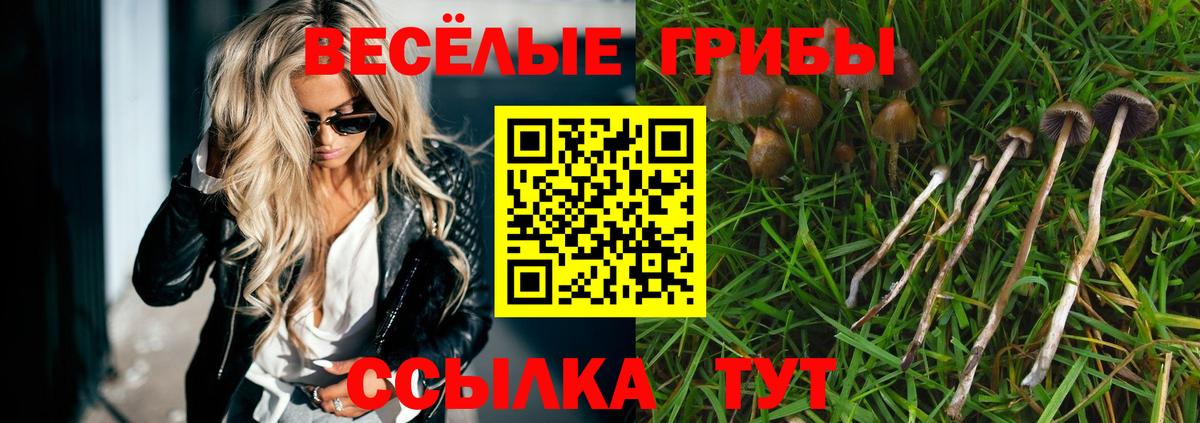 Галлюциногенные грибы Psilocybe  Вход с VPN  магазин продажи   Дербент 