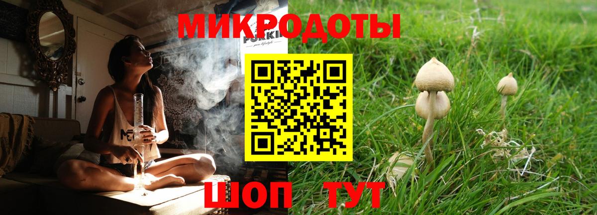 Псилоцибиновые грибы ЛСД Дербент